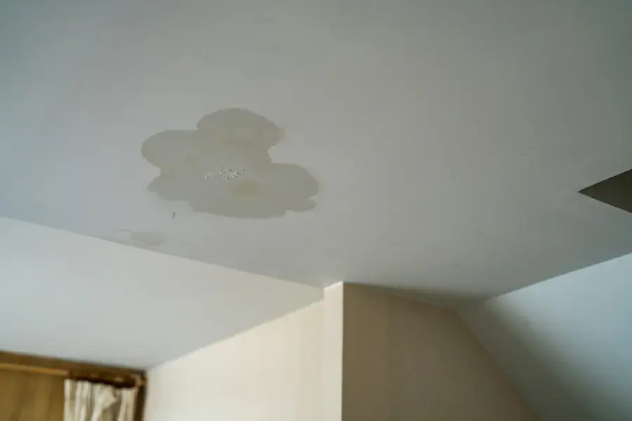 Water stain spreading across a white ceiling above a window