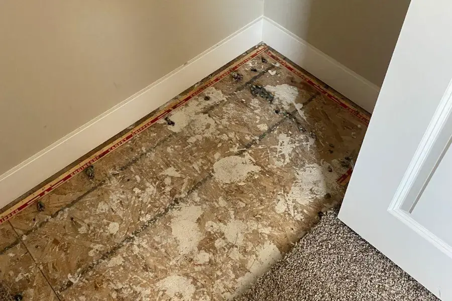 Carpet pulled back at a corner to expose the wet pad and tack strip during water extraction in Anoka