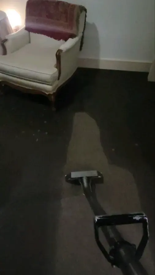 An extraction wand pulling water from soaked carpet during water removal in Anoka