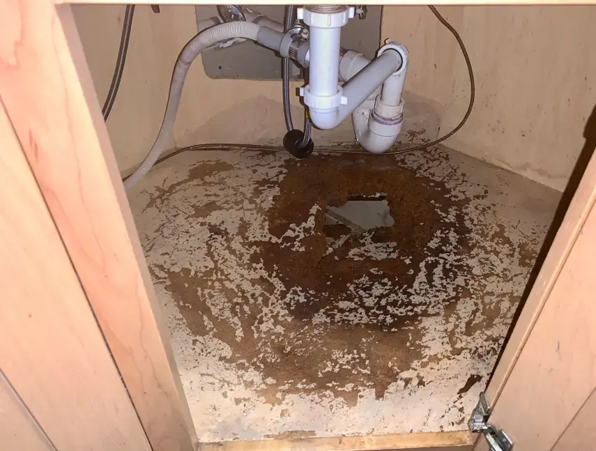 A sink base cabinet floor ruined by a slow leak under the plumbing, a common result of a supply pipe or hose failure in an Andover home